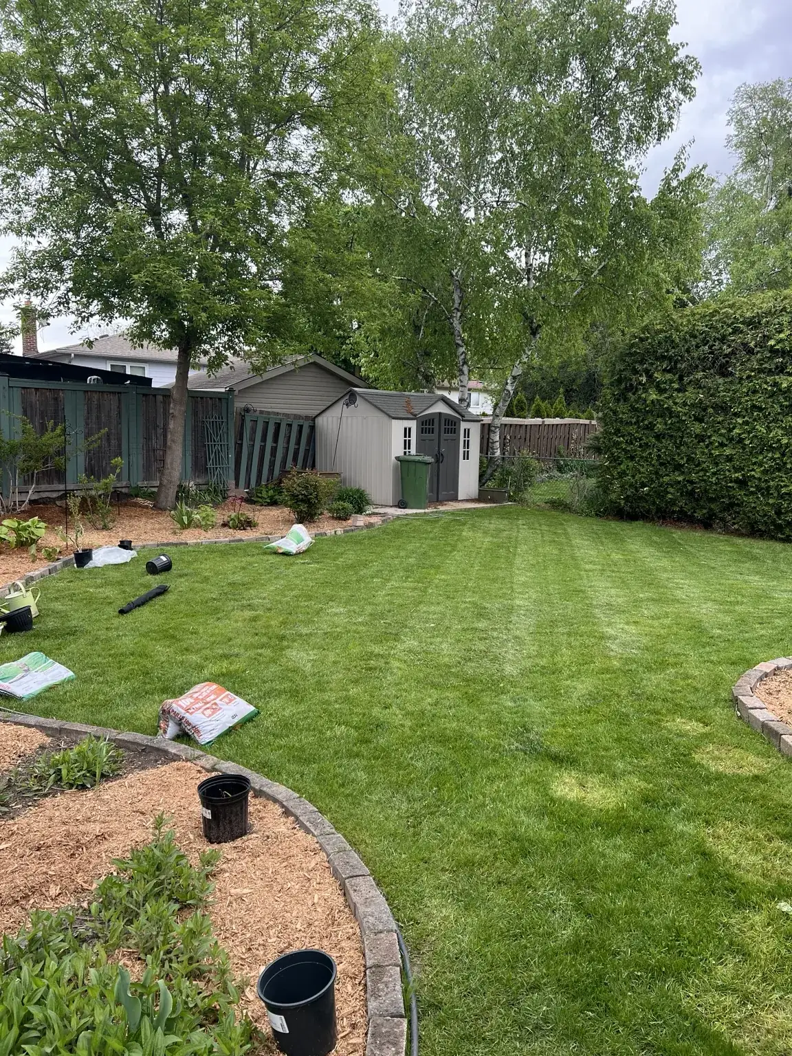 Maintained backyard lawn and garden