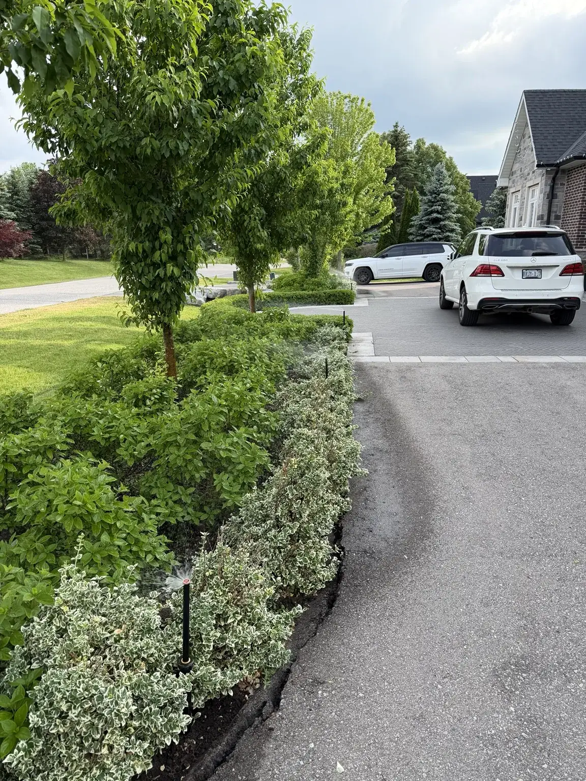 Finished landscaping around a property
