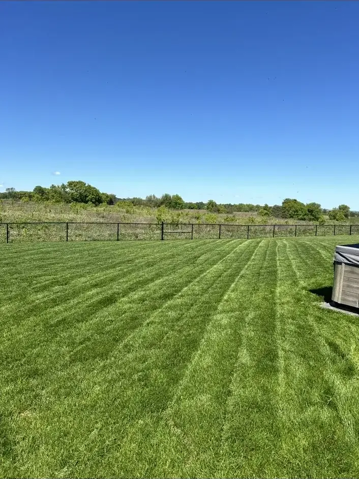 Freshly mowed striped lawn
