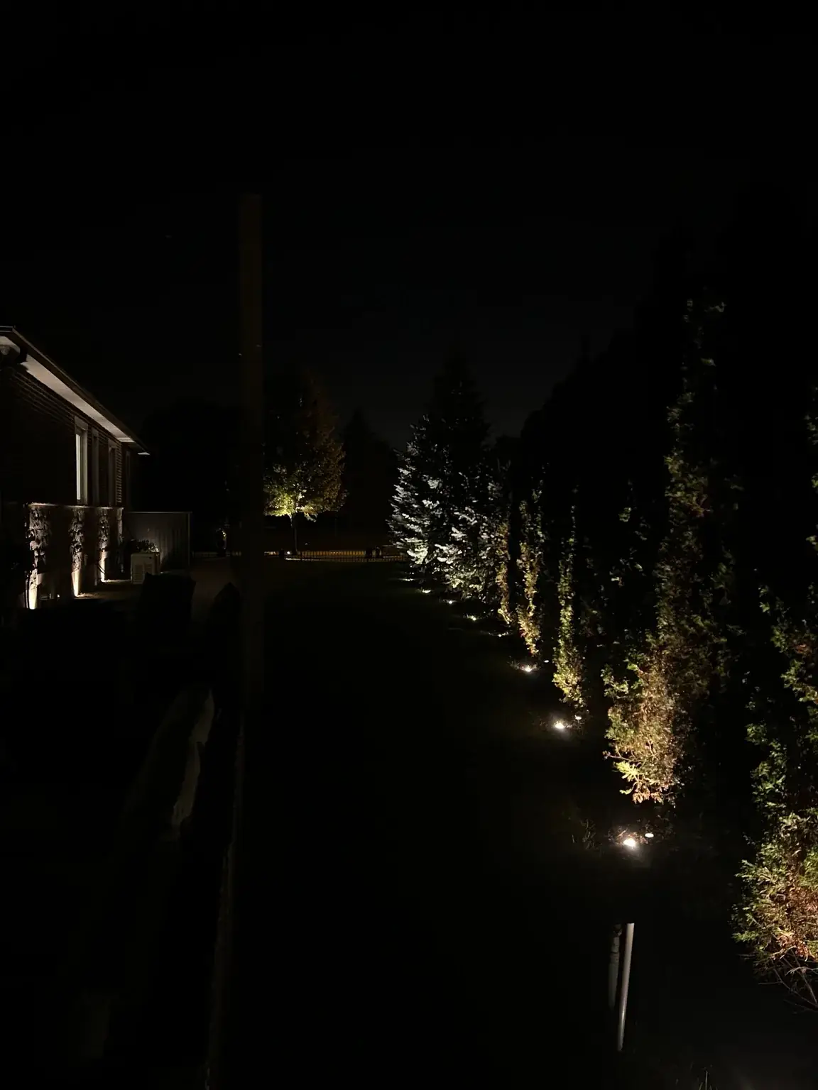 Hedge and tree lighting at night